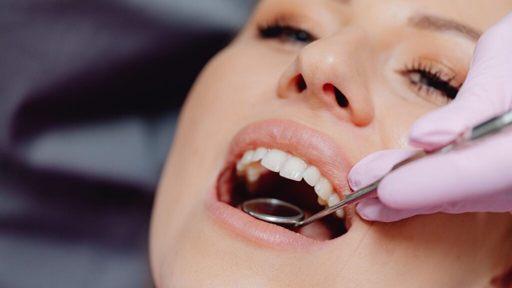 Anatomía Bucodental - BFEstéticaDental