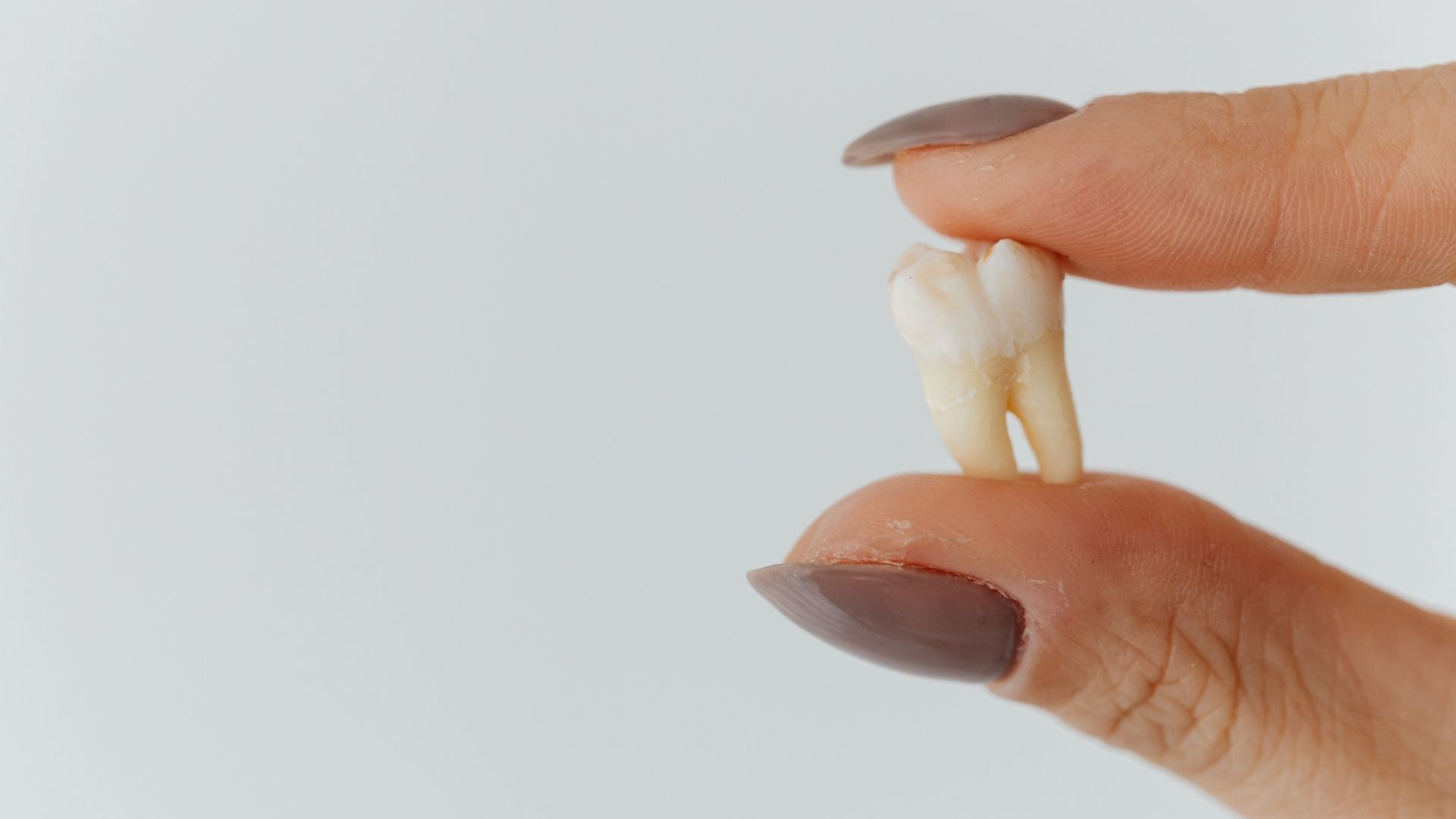 Las Tres Capas del Diente - Un Escudo de Protección y Vitalidad - BFEstéticaDental